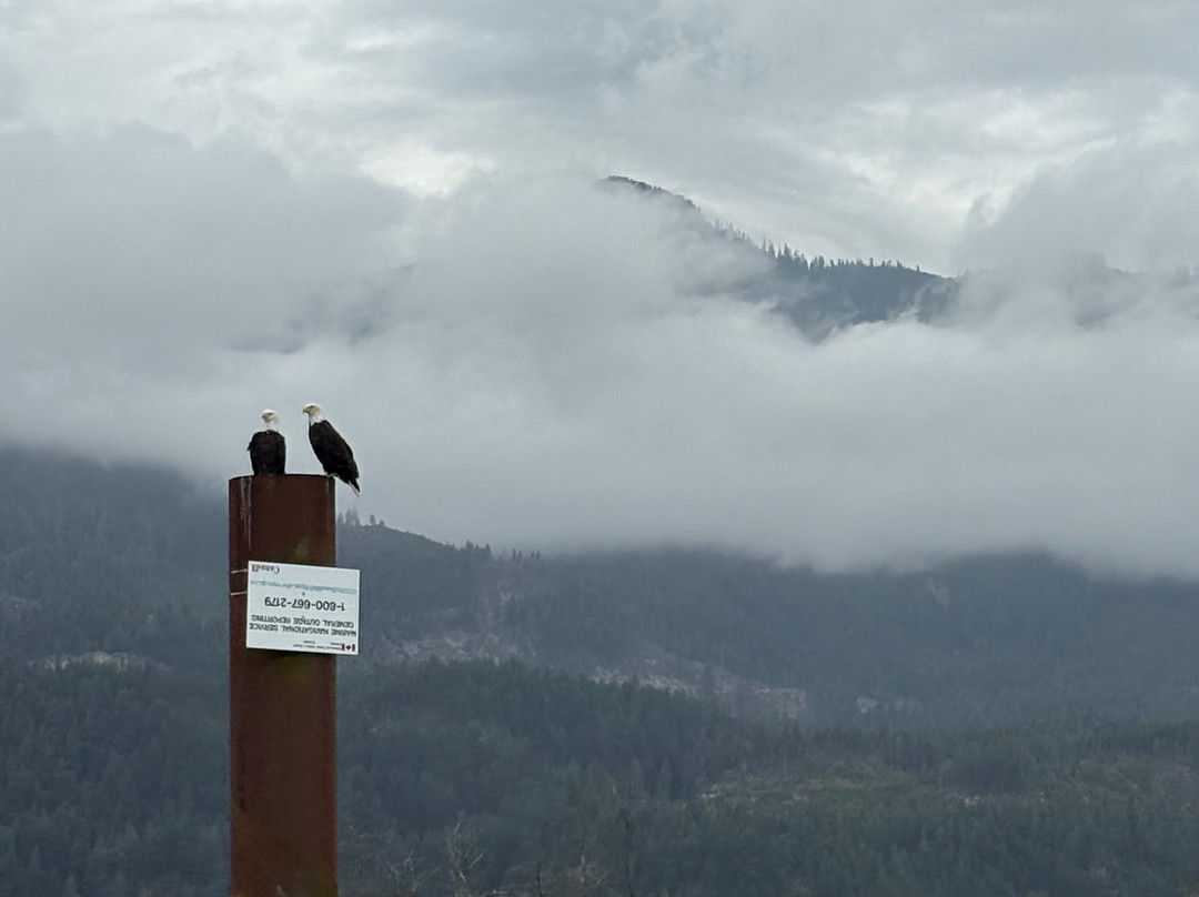 Harrison Eco Tours-哈里逊温泉必去景点