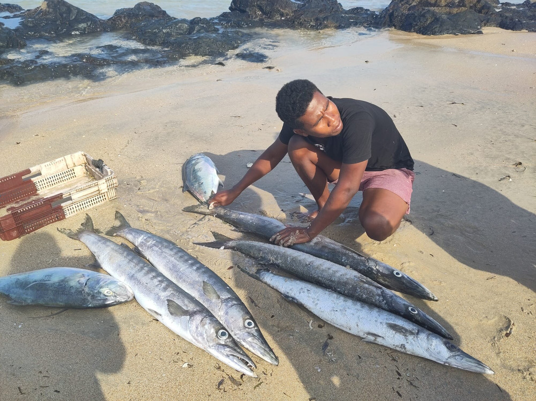 Hotel & Résidence Sarimanok主图