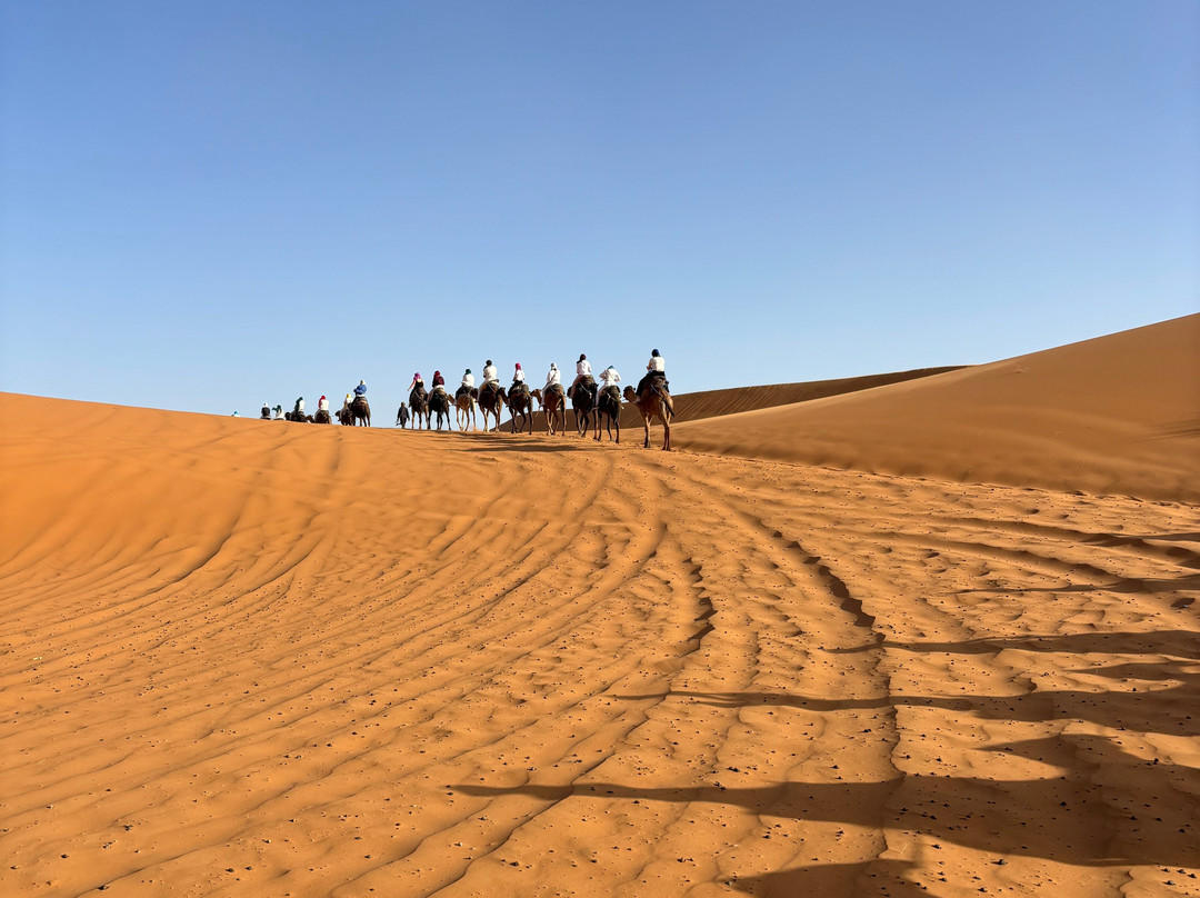 Morocco Cheap Travel-非斯必去景点
