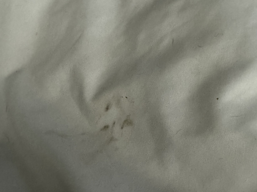 AmericInn by Wyndham Republic主图