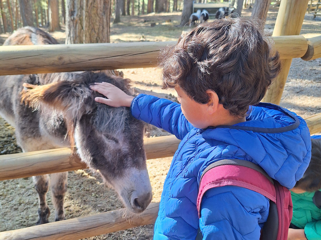 Parque Faunistico - La cuniacha-Biescas必去景点