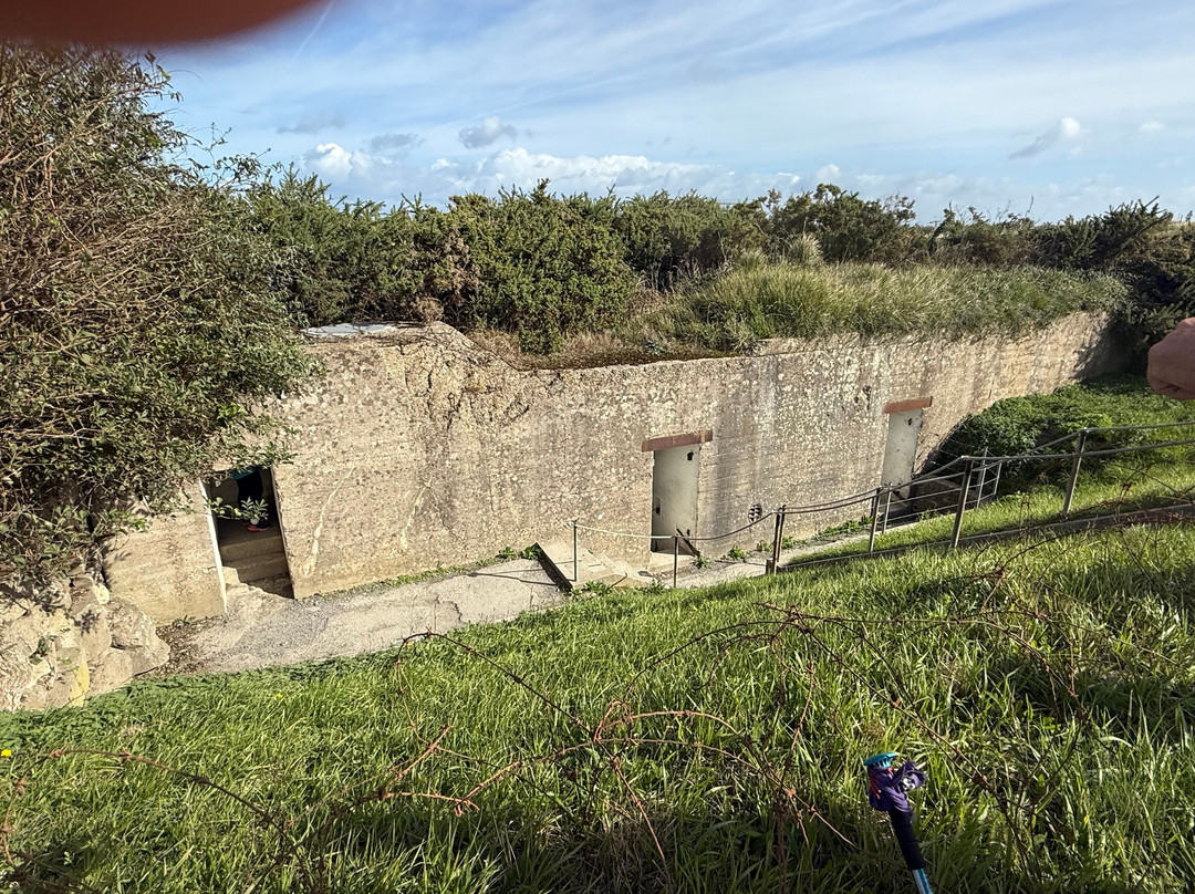 Ophorus-波尔多必去景点