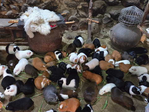 Nomadic Peru-库斯科必去景点