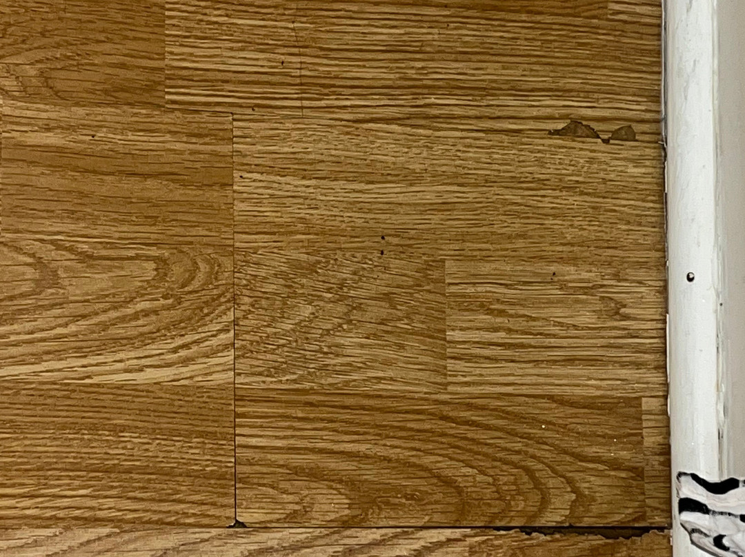 The Sunset Hill House主图