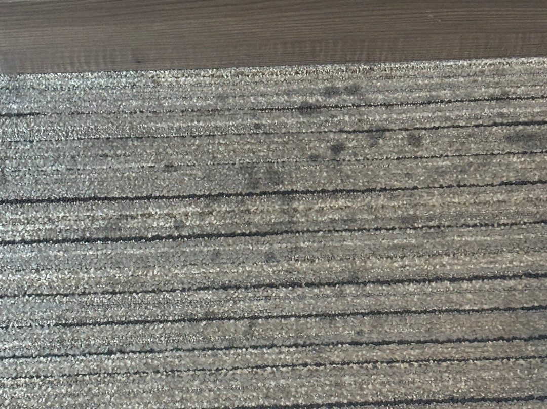 Holiday Inn Express & Suites Gulf Shores By IHG主图