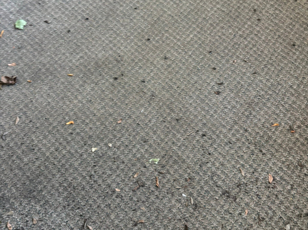 Spirit Lake-Spirit Lake必去景点