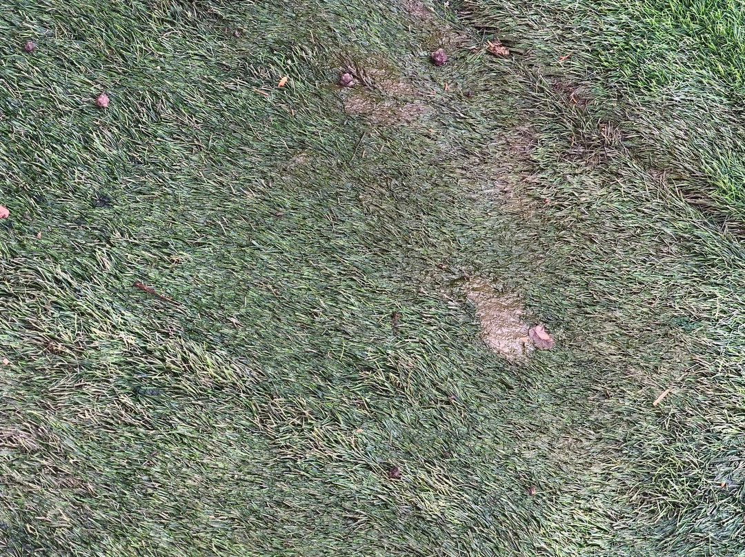 Hotel Dias By Azul Collection