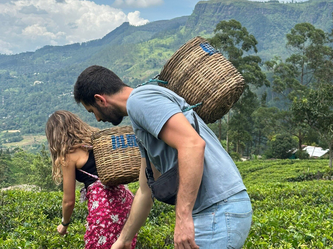Kandy Blossom Tours-Katugastota必去景点