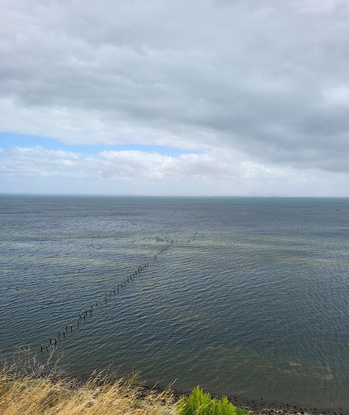 The Dell Picnic Area-Clifton Springs必去景点