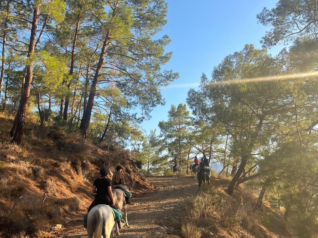 Hilal Ranch Kemer Horse Riding Center-凯梅尔必去景点