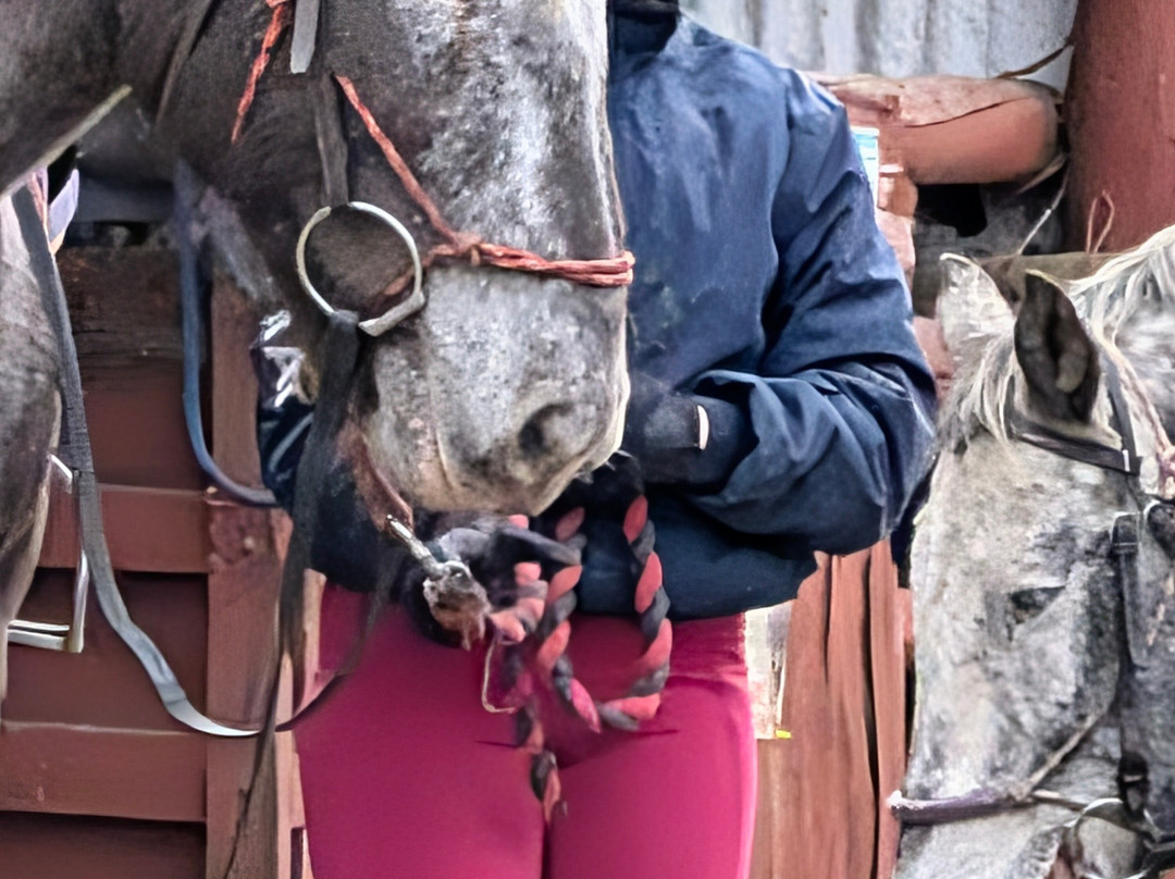 Lunga Riding Stables-Lochgilphead必去景点