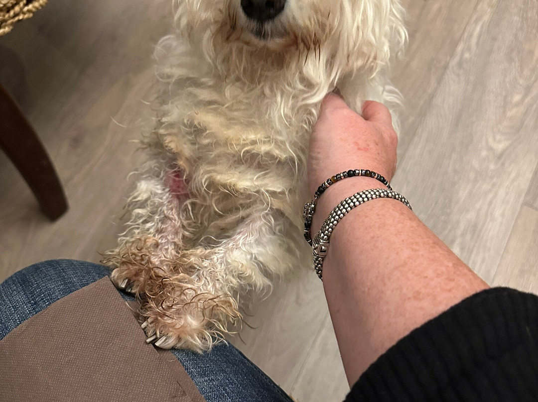 Cooking Piemonte-Cervere必去景点