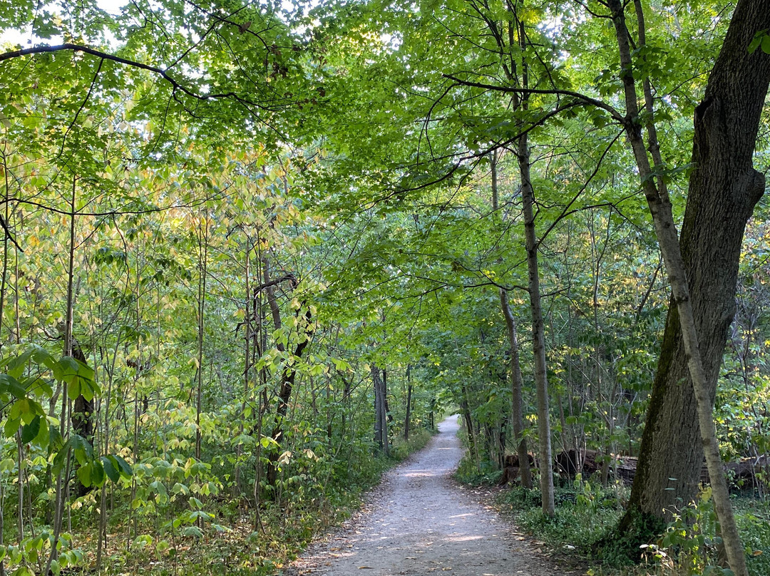 Sharon Woods-沙伦维尔必去景点