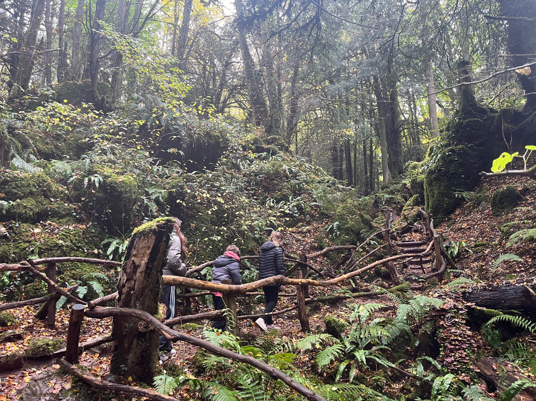 Puzzlewood-Coleford必去景点