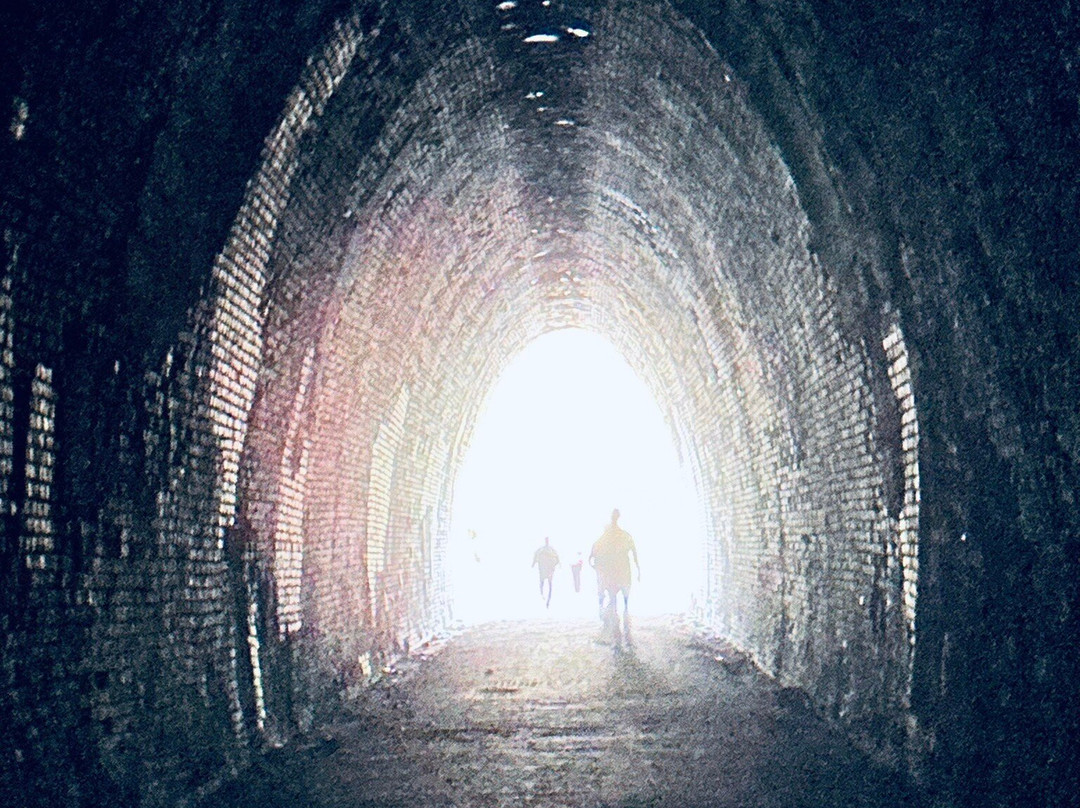 Blue Ridge Tunnel East Trailhead-Afton必去景点