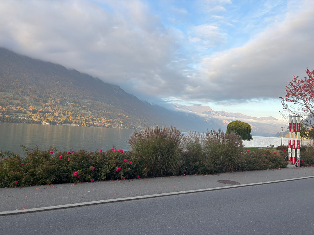 Seehotel Bonigen主图