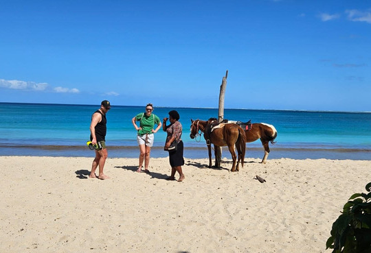 Denarau Taxi Transfers And Tours-丹娜努岛必去景点