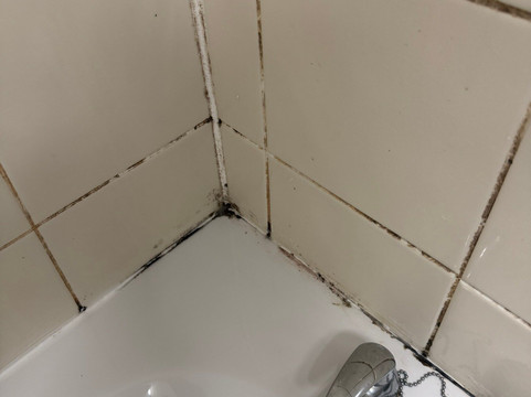 布鲁内尔酒店主图