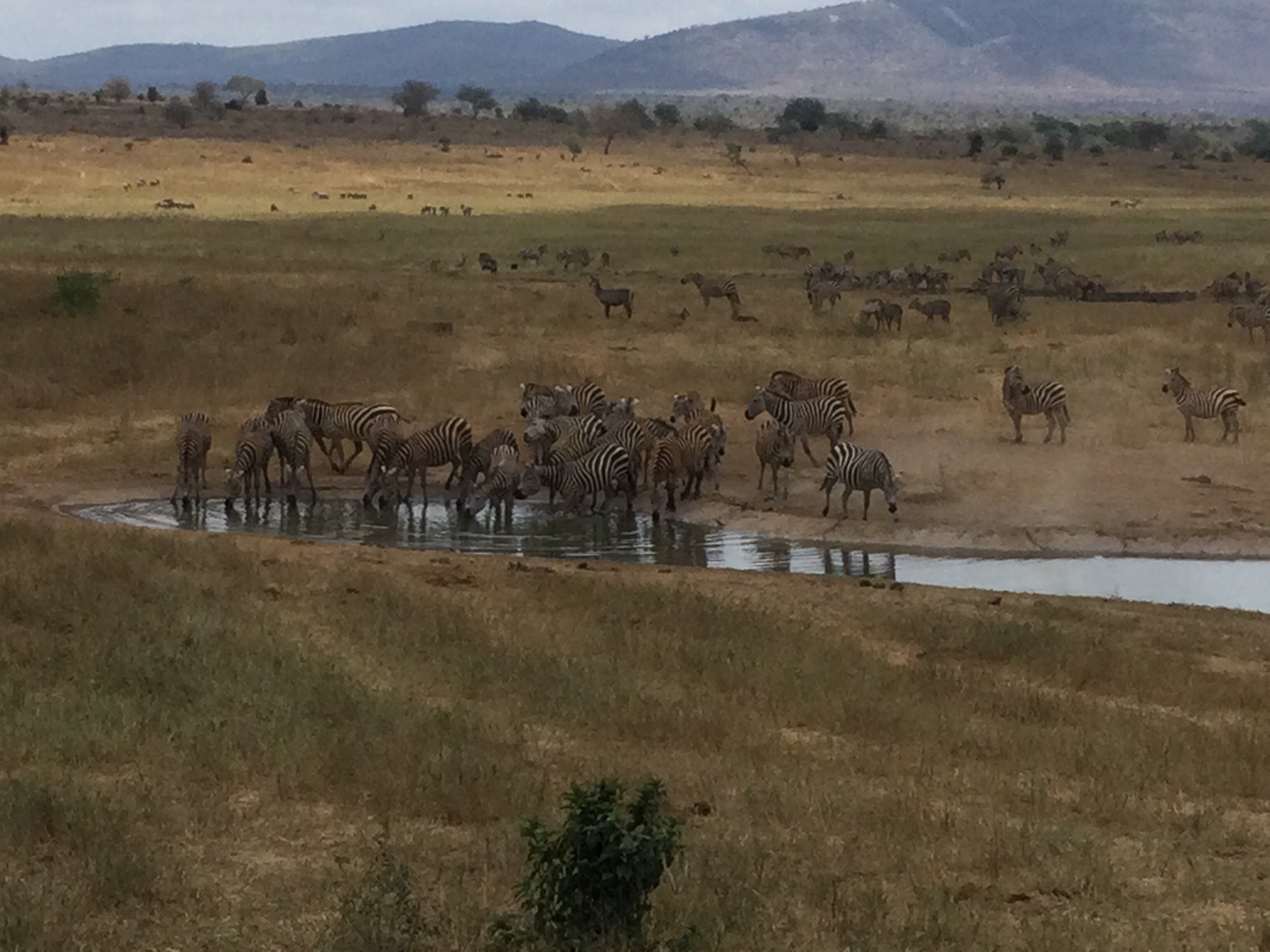 萨洛瓦萨尔特利克游戏旅馆-酒店景观