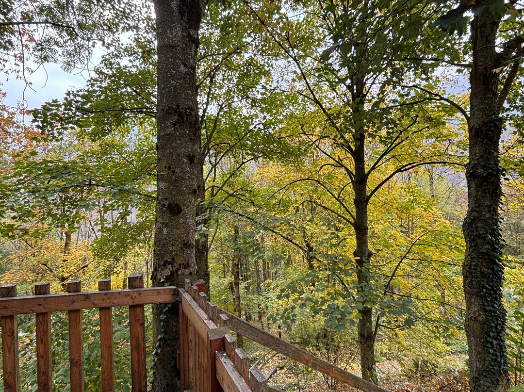 Il Bosco Incantato-Ostana必去景点