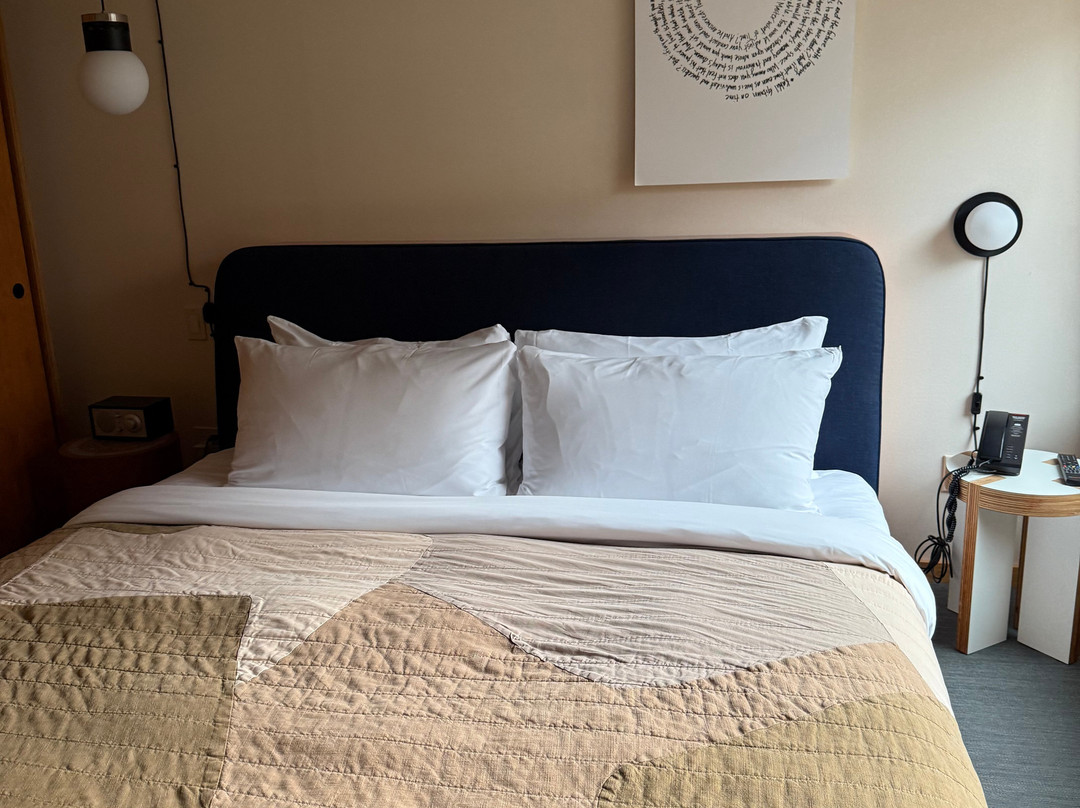 Ace Hotel Toronto主图