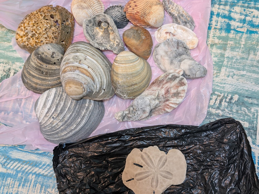 Journeys of St. George Island-St. George Island必去景点