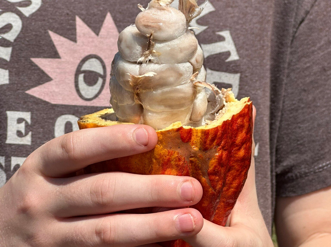 Puna Chocolate Company-凯鲁瓦-柯纳必去景点