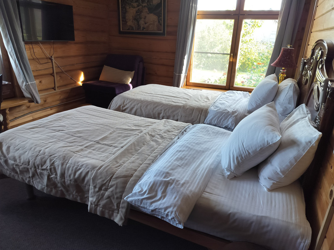 Staroladozhskaya Usadba主图