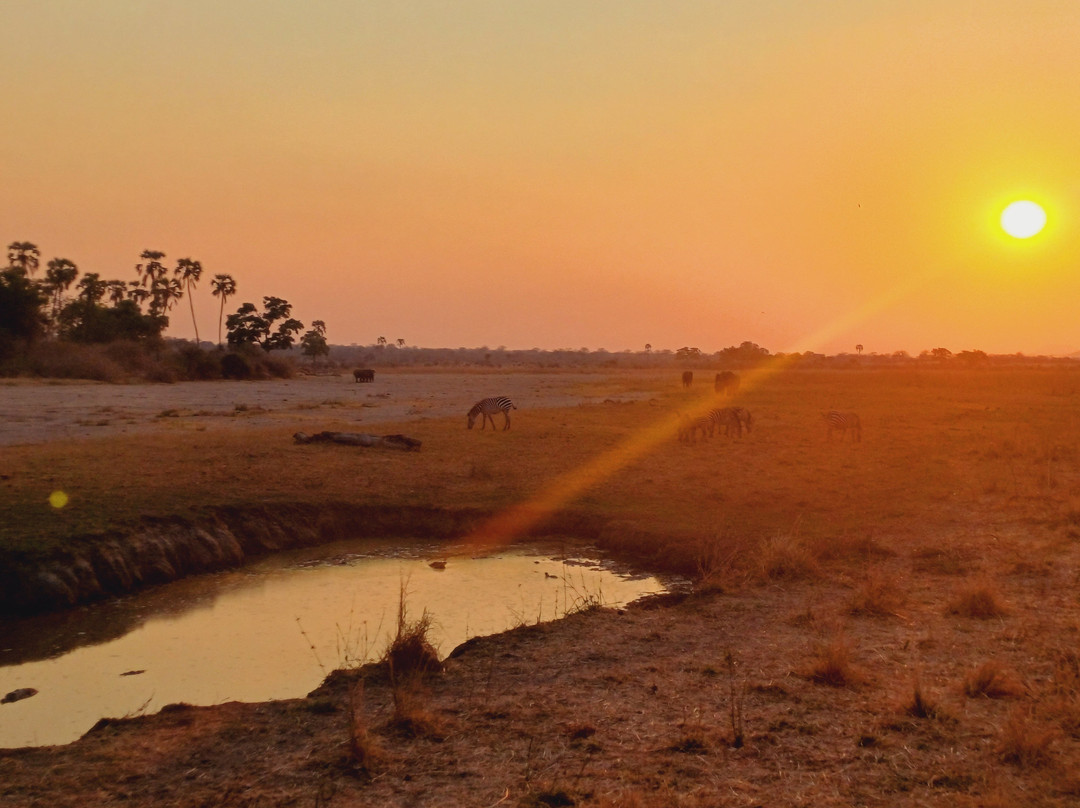 Sam safari & tours-Iringa必去景点