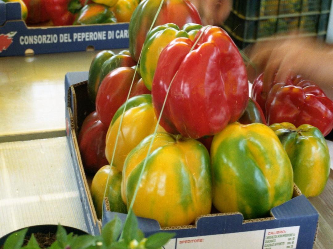 Sagra del Peperone-Carmagnola必去景点