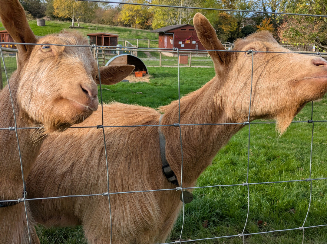 Woodgate Valley Country Park-伯明翰必去景点