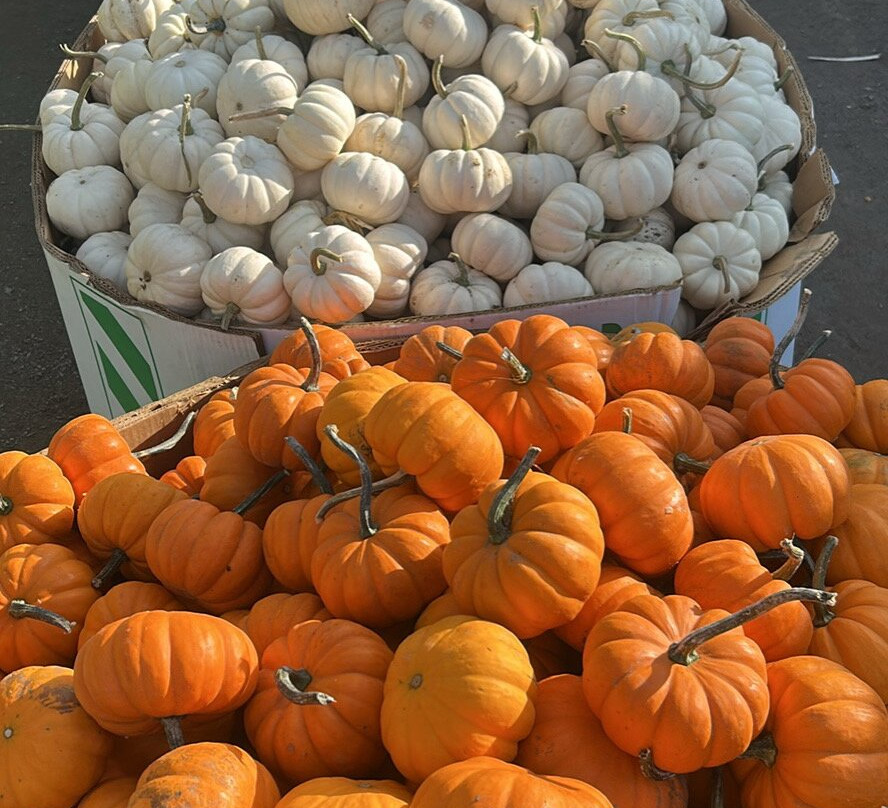 Farmer To You - Taylor Farms-邓达斯必去景点