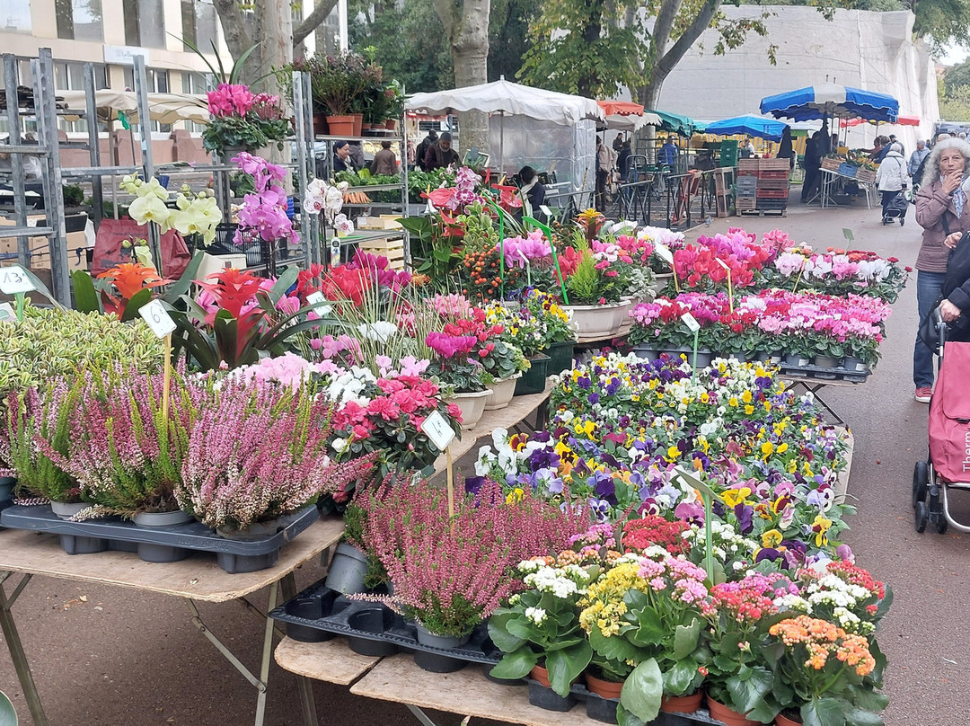 Le Boat - Castelnaudary-Castelnaudary必去景点