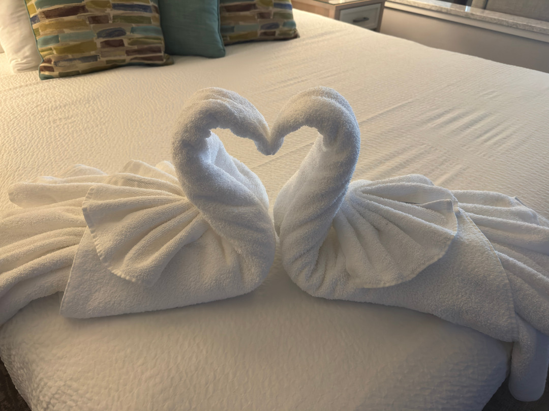 新港霍尔马克度假村主图