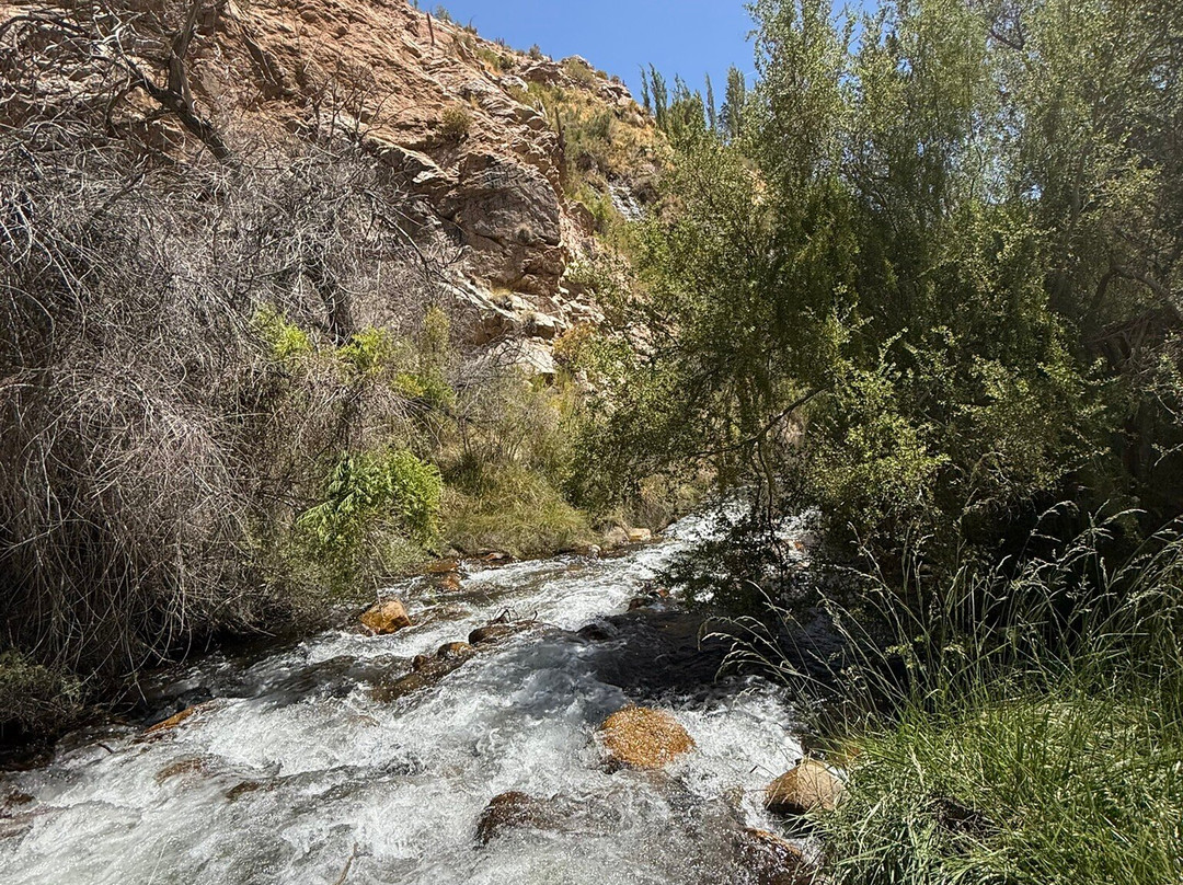 Tourmisticos-Pisco Elqui必去景点