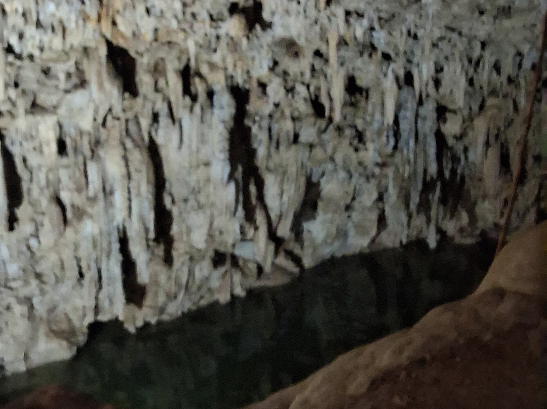 Cenote SAC-AUA-巴利亚多利德必去景点