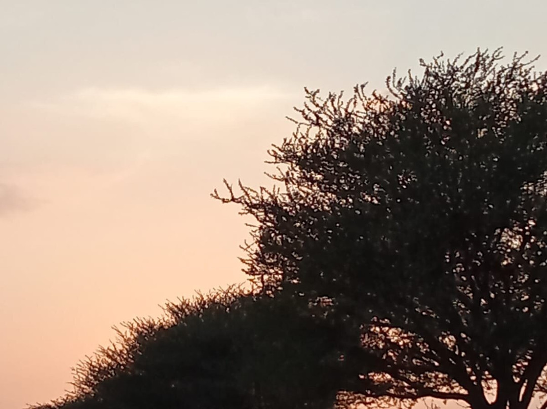 Sunset Nature view point - near jodhpur-Balesar必去景点