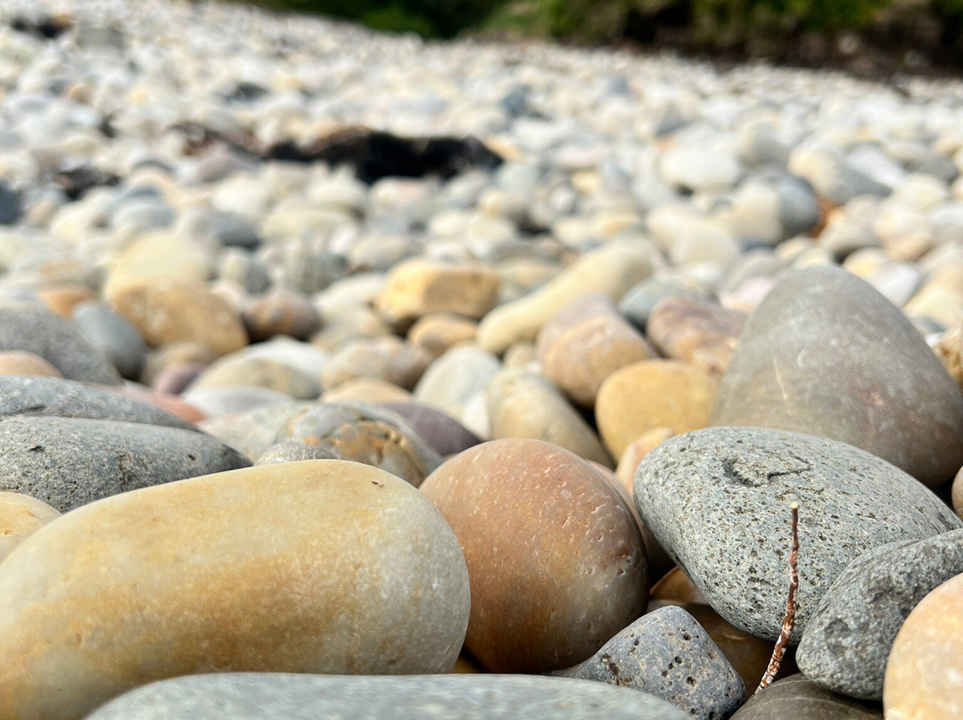 Lillico Beach Conservation Area-Lillico必去景点
