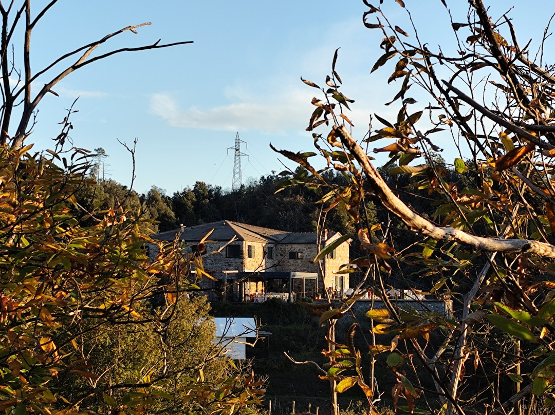 Agriturismo degli Olivi主图