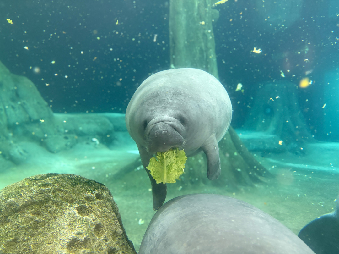 The Bishop Museum Of Science And Nature-布雷登顿必去景点