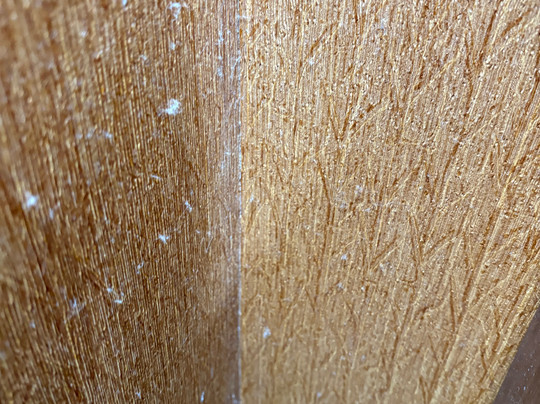 Amicalola Falls State Park and Lodge主图