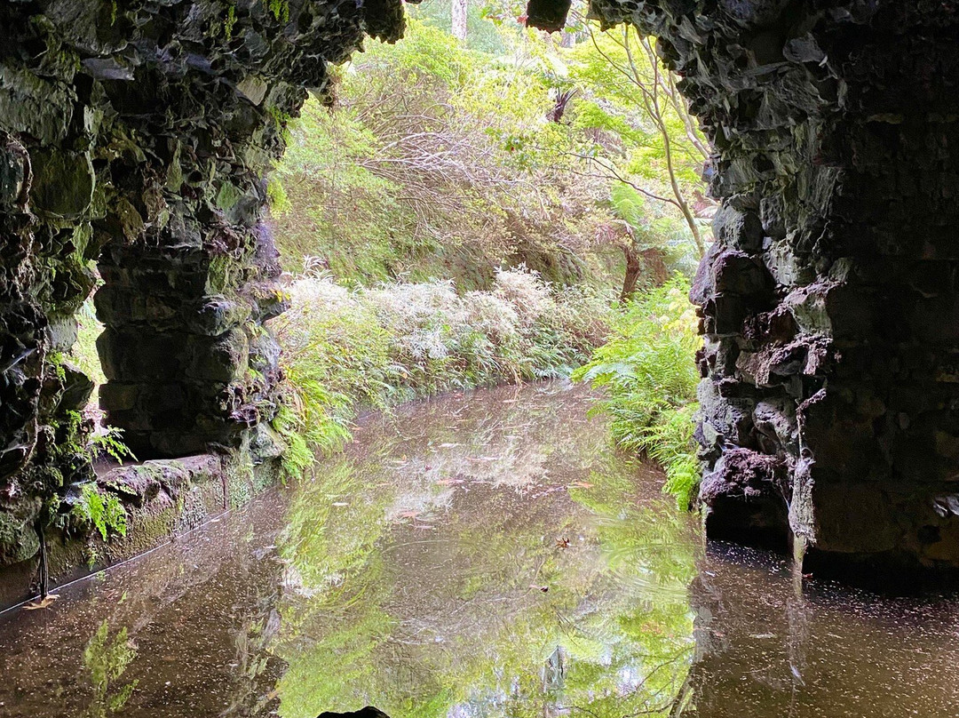 Parque Terra Nostra-富尔纳斯必去景点