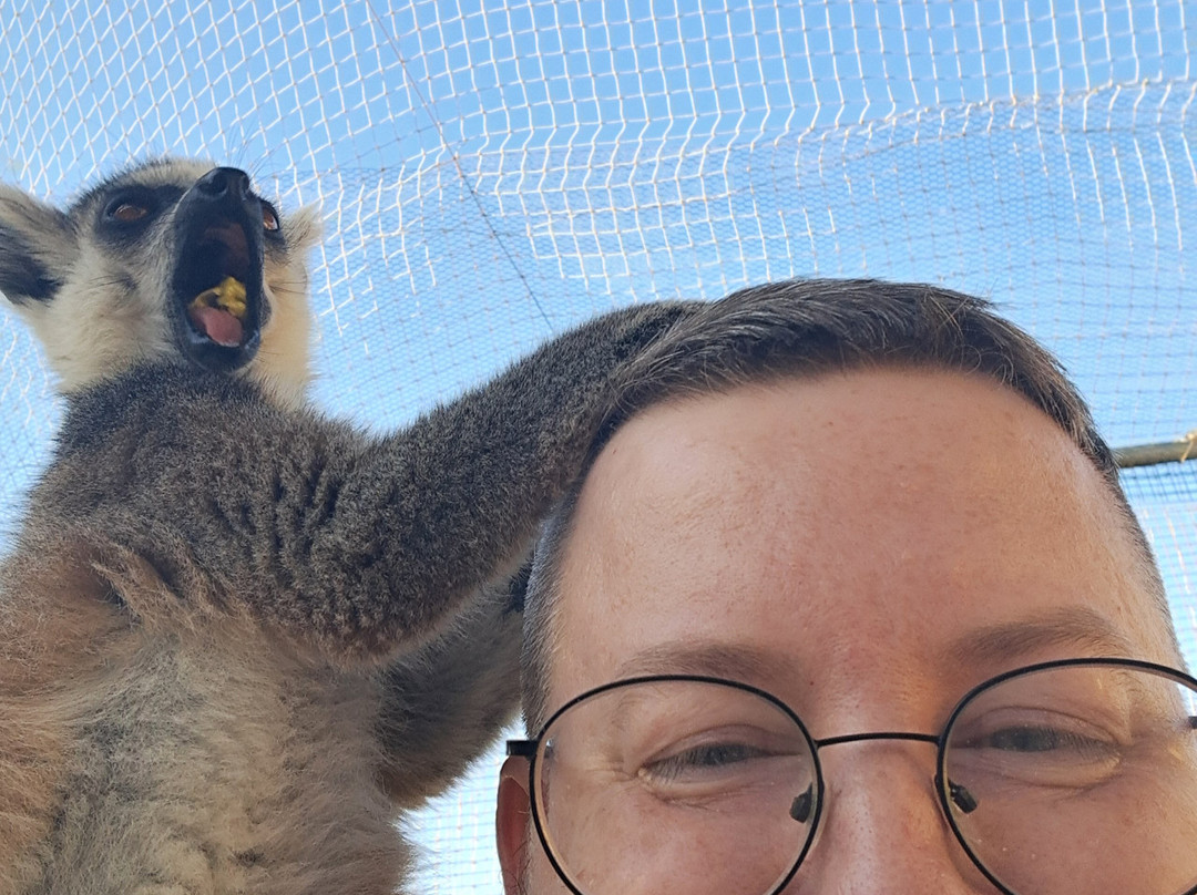 Farma of Rhodes Petting Zoo-罗德斯必去景点