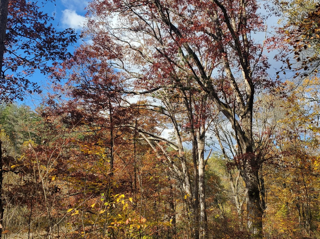 Hope Iron Furnace-New Plymouth必去景点