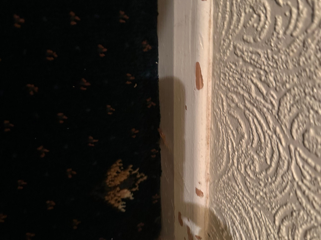 Moorville Hall Hotel主图