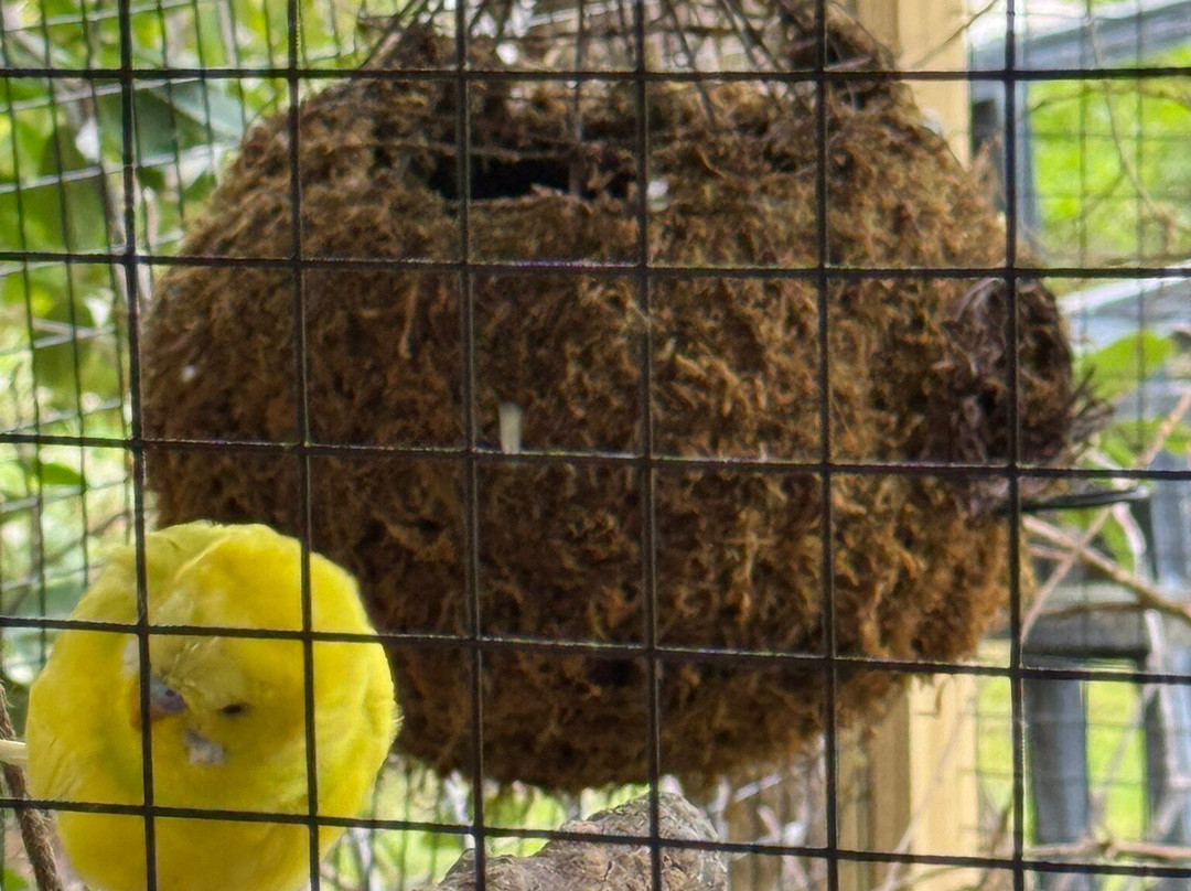 Barefoot Mailman Inn & Suites, Lantana, West Palm Beach, South Florida主图