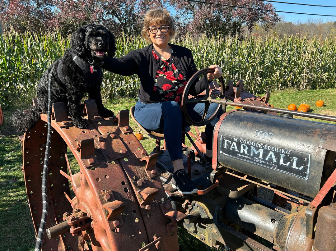 Secor Farms-莫沃必去景点