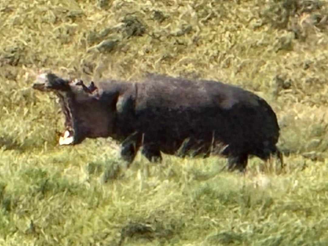 Jemu Expeditions-南由基必去景点