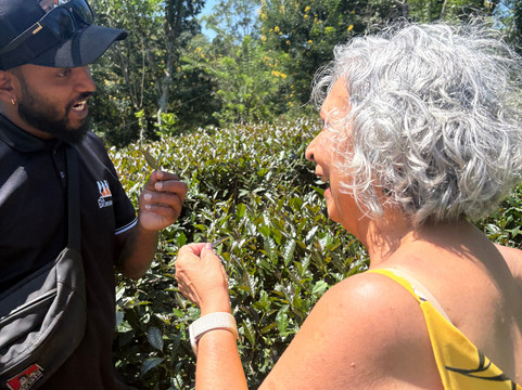 Ella Excursions Tours-埃勒必去景点