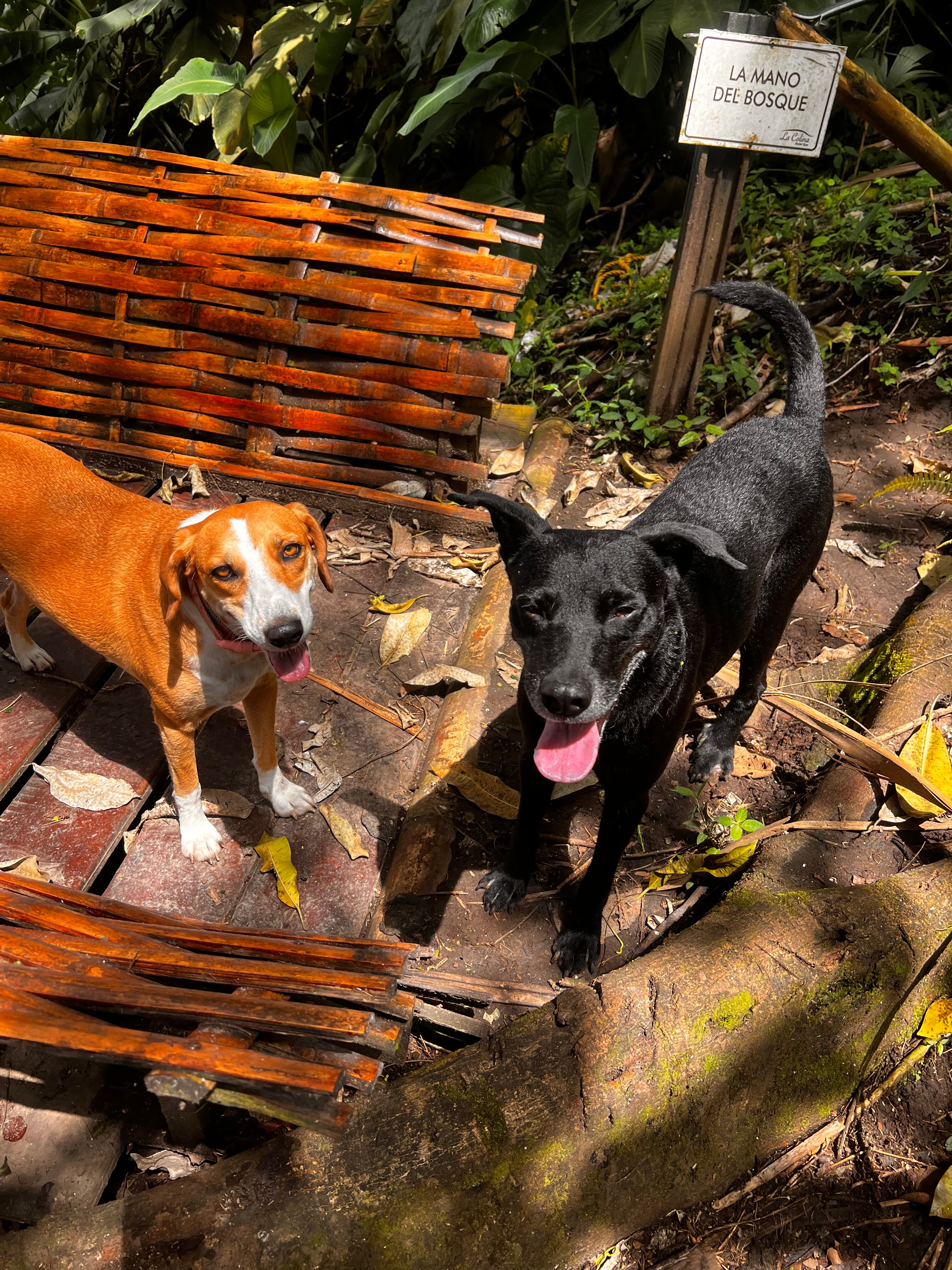 Hotel Spa La Colina-官方